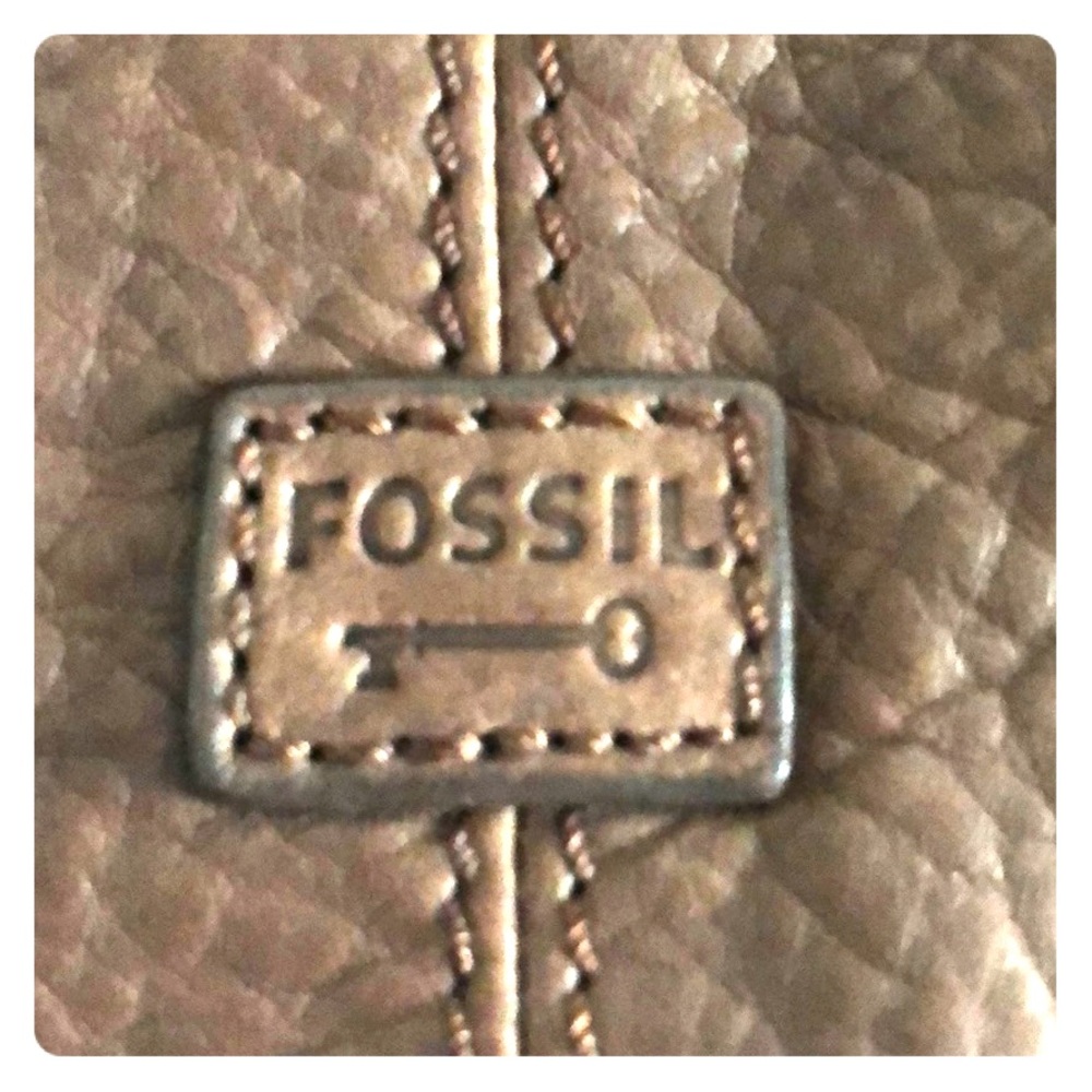 Fossil purse